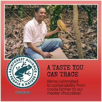 A smiling cocoa farmer holding a cacao pod in a lush cacao plantation, representing Chocolove’s commitment to sustainability. The image highlights the connection between cocoa farmers and Chocolove’s Master Chocolatier. Includes the Rainforest Alliance logo and the text: 'A Taste You Can Trace. We’re committed to sustainability from cocoa farmer to our master chocolatier.'